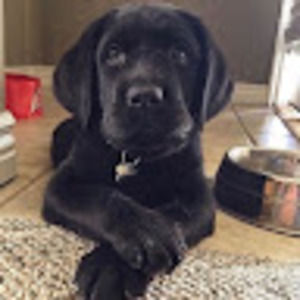 Meet your Posher, Brett